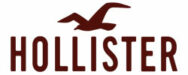 Hollister Logo